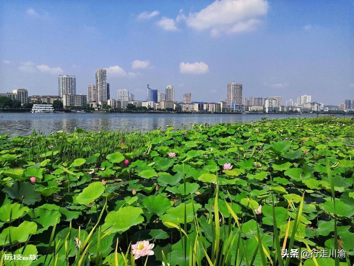 四川油田在哪个城市(桂花油田位于四川省中部的地方)-图片3